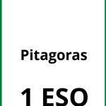 Ejercicios De Pitagoras 1 ESO PDF