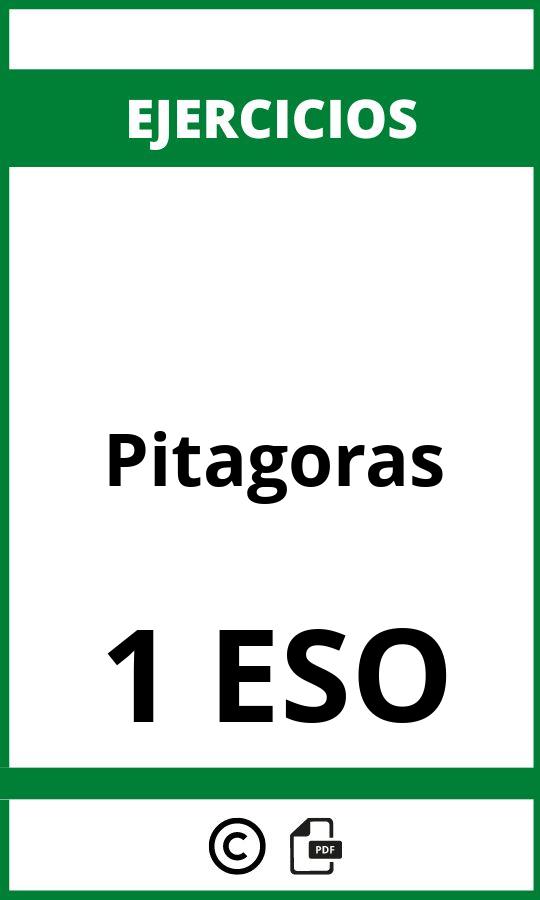 Ejercicios De Pitagoras 1 ESO PDF