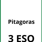 Ejercicios De Pitagoras 3 ESO PDF