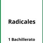 Ejercicios De Radicales 1 Bachillerato PDF