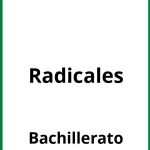 Ejercicios De Radicales Bachillerato PDF