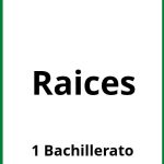 Ejercicios De Raices 1 Bachillerato PDF