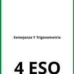 Ejercicios De Semejanza Y Trigonometria 4 ESO  PDF