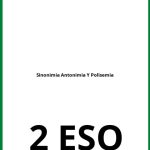 Ejercicios De Sinonimia Antonimia Y Polisemia 2 ESO PDF