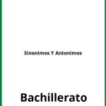 Ejercicios De Sinonimos Y Antonimos Bachillerato PDF