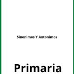Ejercicios De Sinonimos Y Antonimos Primaria PDF