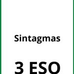 Ejercicios De Sintagmas 3 ESO PDF