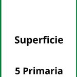 Ejercicios De Superficie 5 Primaria PDF