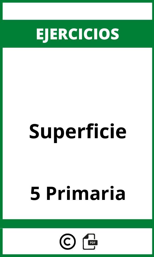 Ejercicios De Superficie 5 Primaria PDF