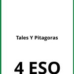 Ejercicios De Tales Y Pitagoras 4 ESO PDF