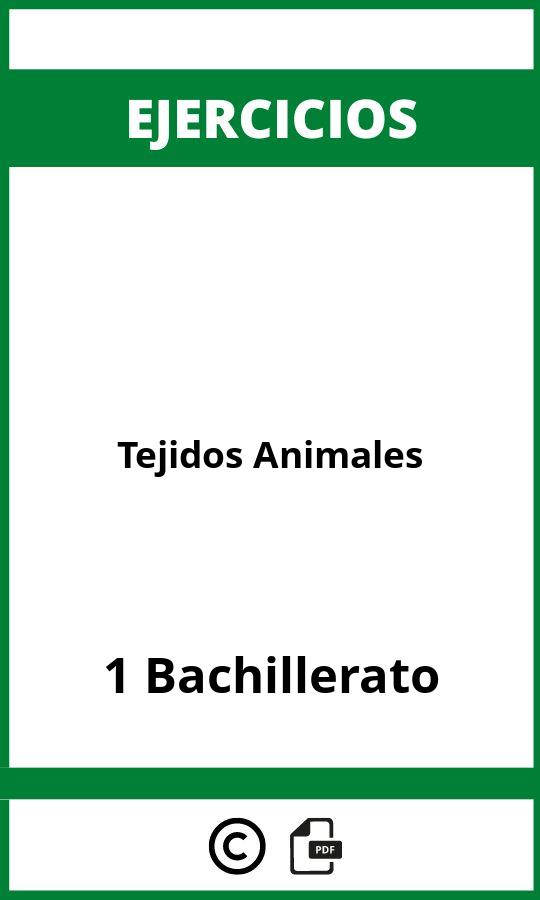 Ejercicios De Tejidos Animales 1 Bachillerato PDF