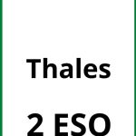 Ejercicios De Thales 2 ESO PDF