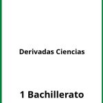 Ejercicios Derivadas 1 Bachillerato Ciencias PDF