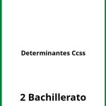 Ejercicios Determinantes 2 Bachillerato Ccss PDF