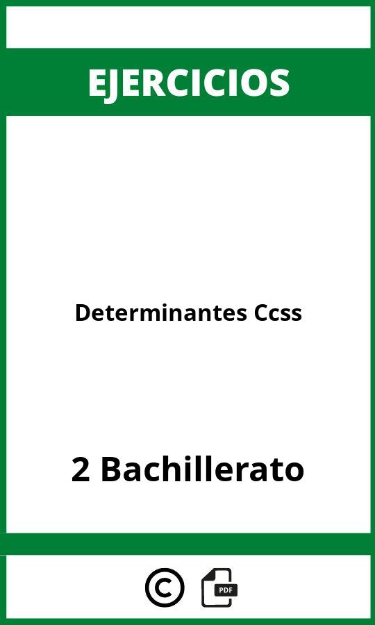 Ejercicios Determinantes 2 Bachillerato Ccss PDF