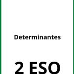 Ejercicios Determinantes 2 ESO PDF