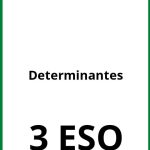 Ejercicios Determinantes 3 ESO PDF