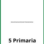 Ejercicios Determinantes Articulos Y Demostrativos 5 Primaria PDF