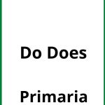 Ejercicios Do Does Primaria PDF