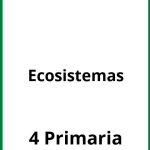 Ejercicios Ecosistemas 4 Primaria PDF