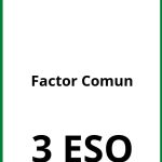 Ejercicios Factor Comun 3 ESO PDF