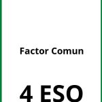 Ejercicios Factor Comun 4 ESO PDF