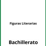 Ejercicios Figuras Literarias Bachillerato PDF