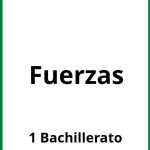 Ejercicios Fuerzas 1 Bachillerato PDF