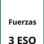 Ejercicios Fuerzas 3 ESO PDF