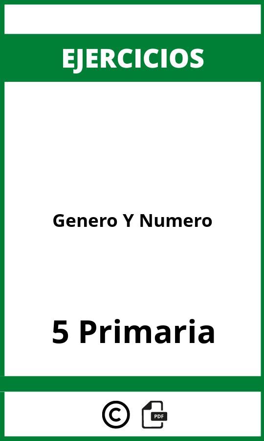 Ejercicios Genero Y Numero 5 Primaria PDF