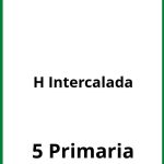 Ejercicios H Intercalada 5 Primaria PDF