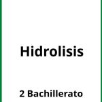 Ejercicios Hidrolisis 2 Bachillerato PDF