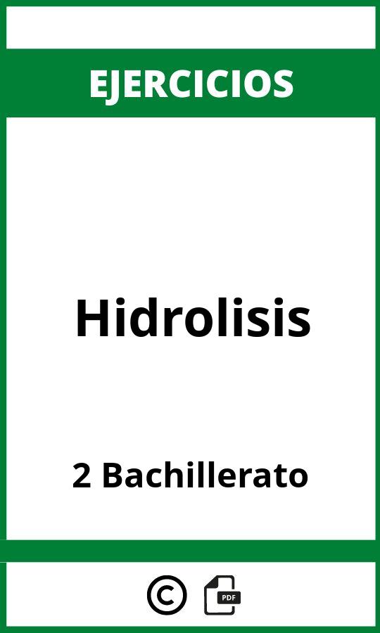 Ejercicios Hidrolisis 2 Bachillerato PDF