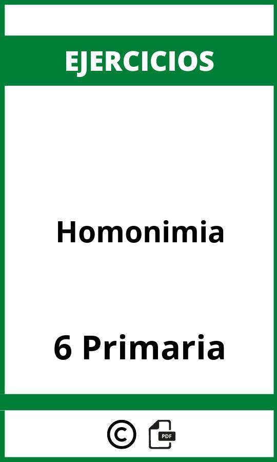 Ejercicios Homonimia 6 Primaria PDF