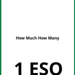 Ejercicios How Much How Many 1 ESO PDF