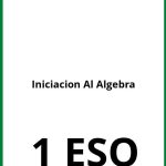Ejercicios Iniciacion Al Algebra 1 ESO PDF