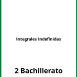 Ejercicios Integrales Indefinidas 2 Bachillerato PDF