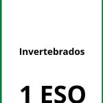 Ejercicios Invertebrados 1 ESO PDF
