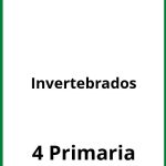 Ejercicios Invertebrados 4 Primaria PDF