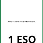 Ejercicios Lengua 1 ESO Palabras Variables E Invariables PDF