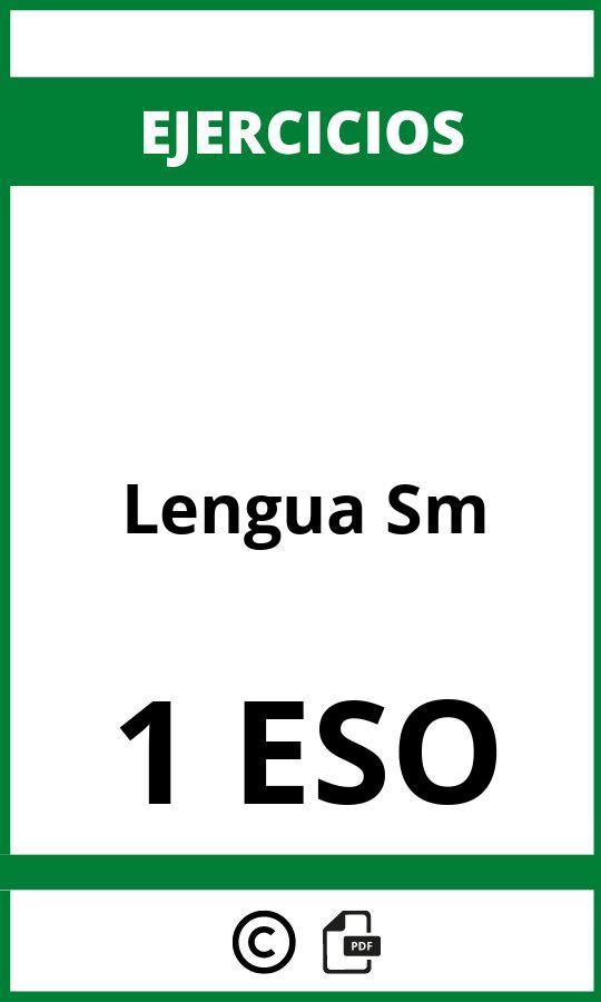 Ejercicios Lengua 1 ESO Sm PDF