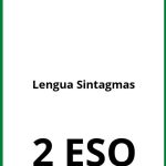 Ejercicios Lengua 2 ESO Sintagmas PDF