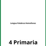 Ejercicios Lengua 4 Primaria Palabras Homofonas PDF