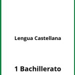Ejercicios Lengua Castellana 1 Bachillerato PDF