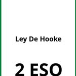 Ejercicios Ley De Hooke 2 ESO PDF