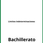 Ejercicios Limites Indeterminaciones Bachillerato PDF
