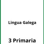 Ejercicios Lingua Galega 3 Primaria PDF