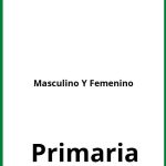 Ejercicios Masculino Y Femenino Primaria PDF