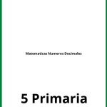 Ejercicios Matematicas Numeros Decimales 5 Primaria PDF