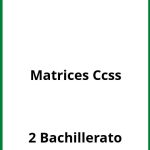 Ejercicios Matrices 2 Bachillerato Ccss PDF